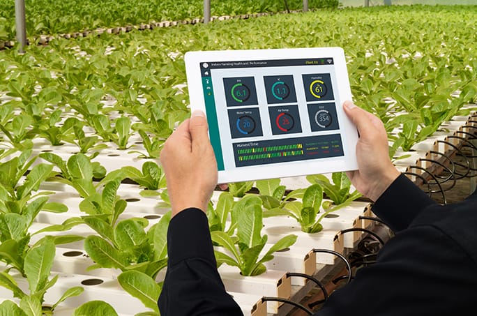 Grower with tablet over indoor agriculture facility