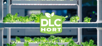 DLC Hort
